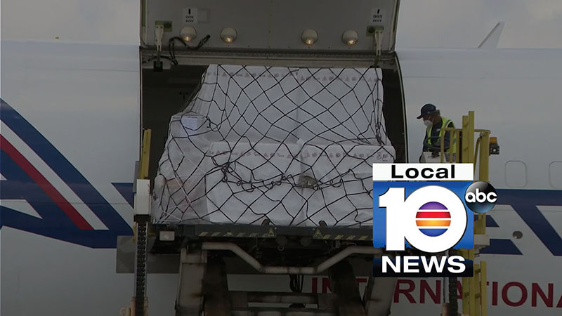 Local 10 Coverage Image